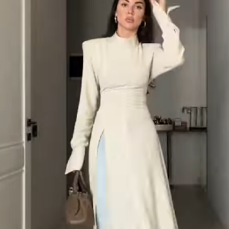 فستان نسائي كاجوال طويل الأكما - مراجعة Women Formal Wear For Meeting وسعره